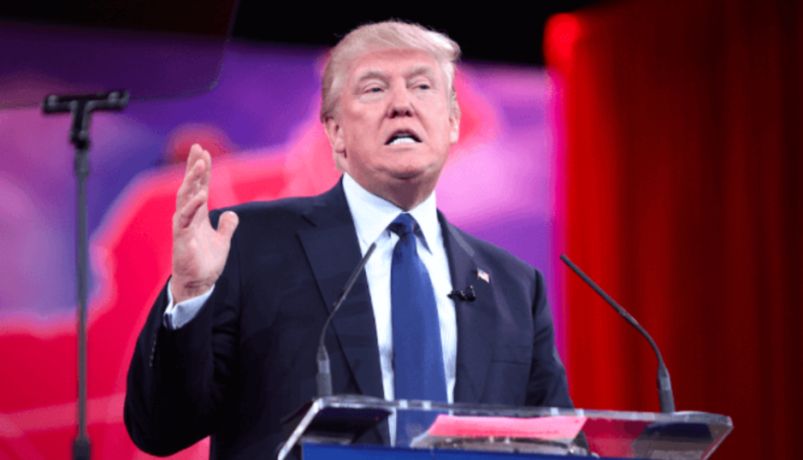 Donald Trump Publicity